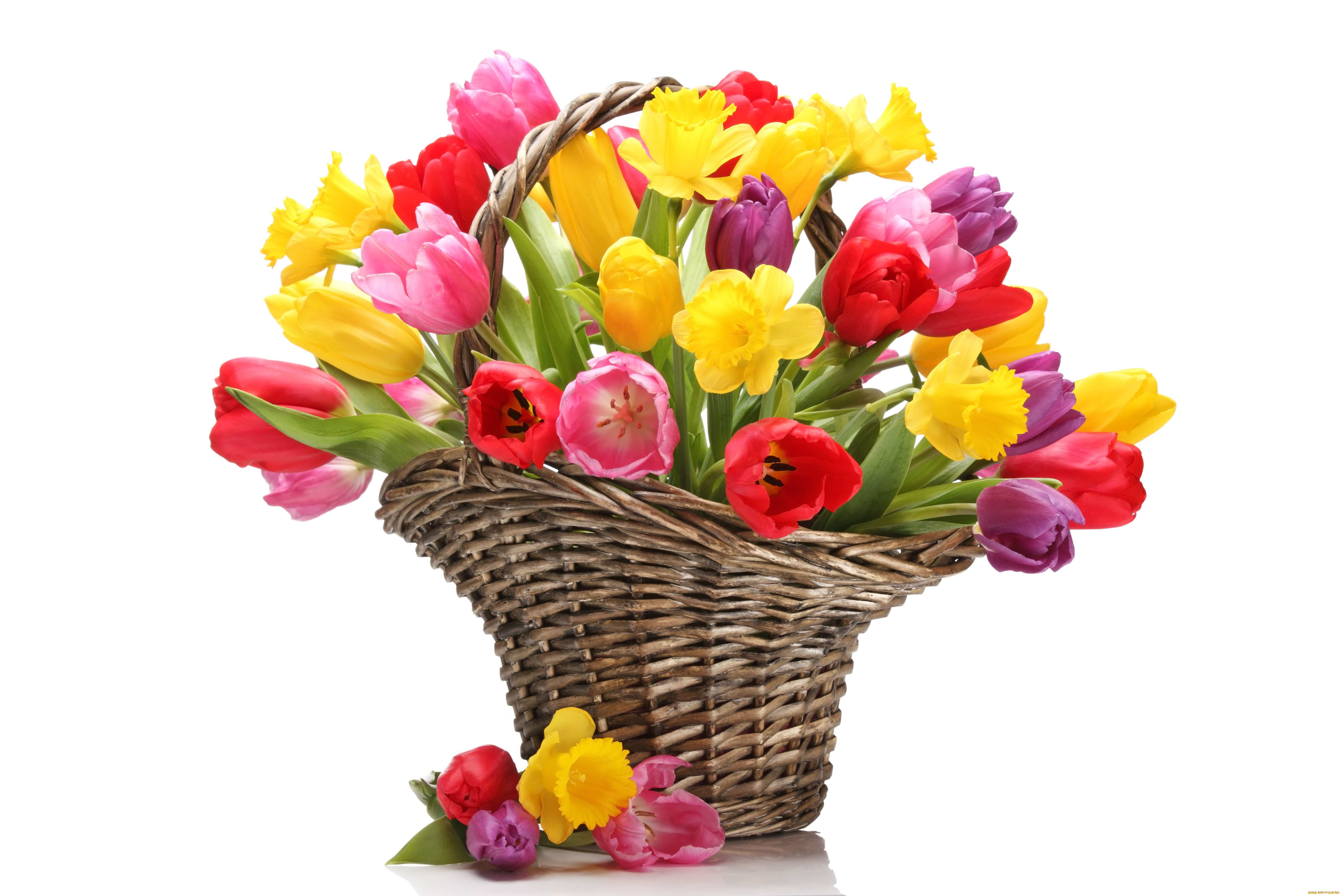 Открытку красивый букет тюльпанов. Весенний букет. Букет весенних цветов. Корзинка с цветами. Корзина с тюльпанами.